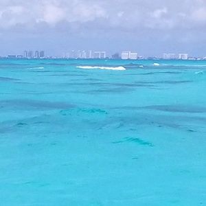 Meet your Posher, Annabelle